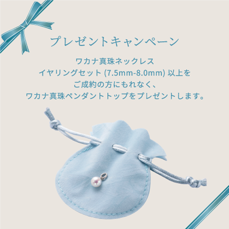 WAKANA(ワカナ) アコヤ真珠ネックレスイヤリングセット 〈8.0-8.5mm 45cm〉